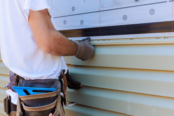 Affordable Vinyl Siding solutions in Davidson, NC
